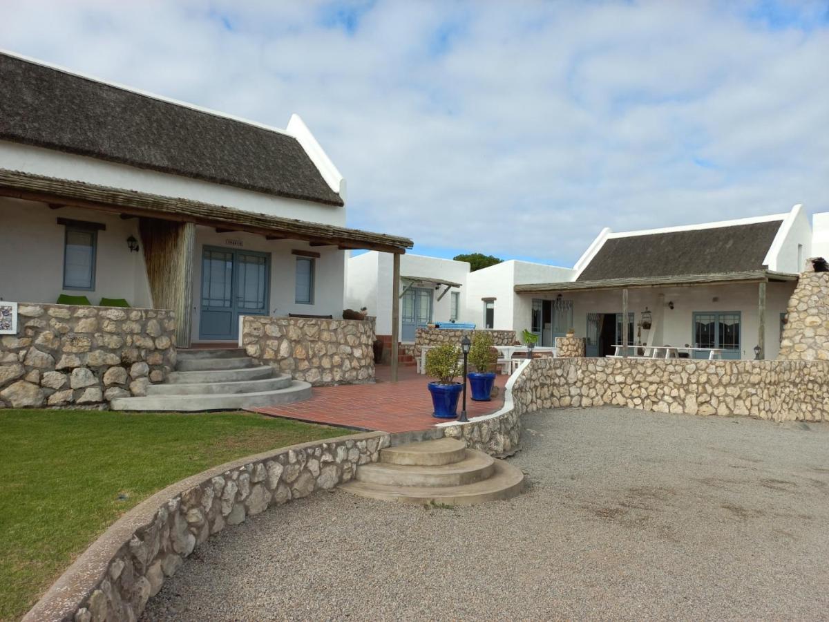 Abalone Guesthouse Jacobs Bay Zewnętrze zdjęcie